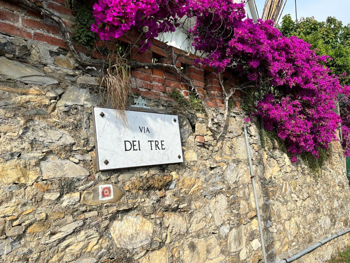 Salotto Sul Mare Bed and breakfast *